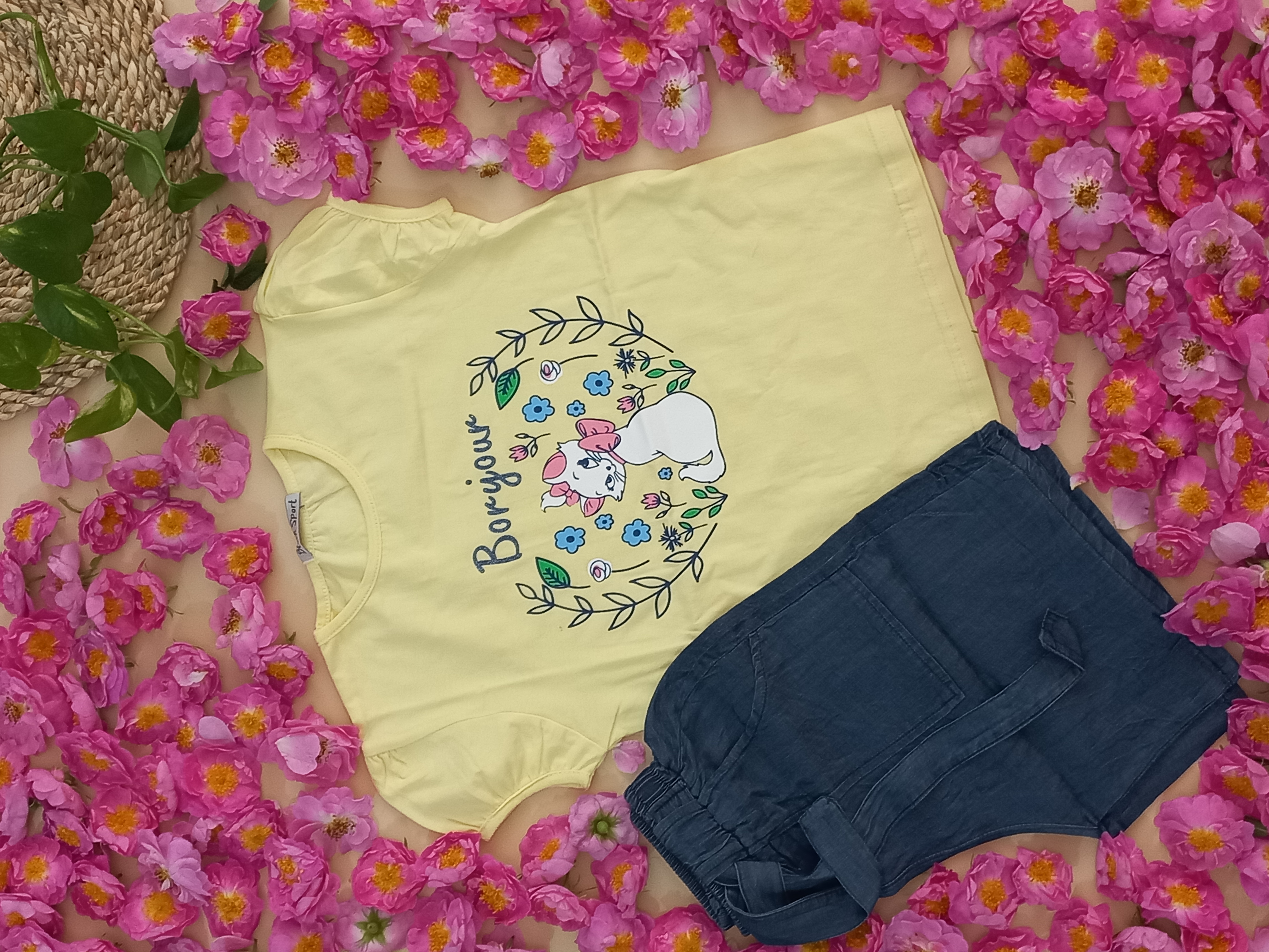 گربه اشرافی